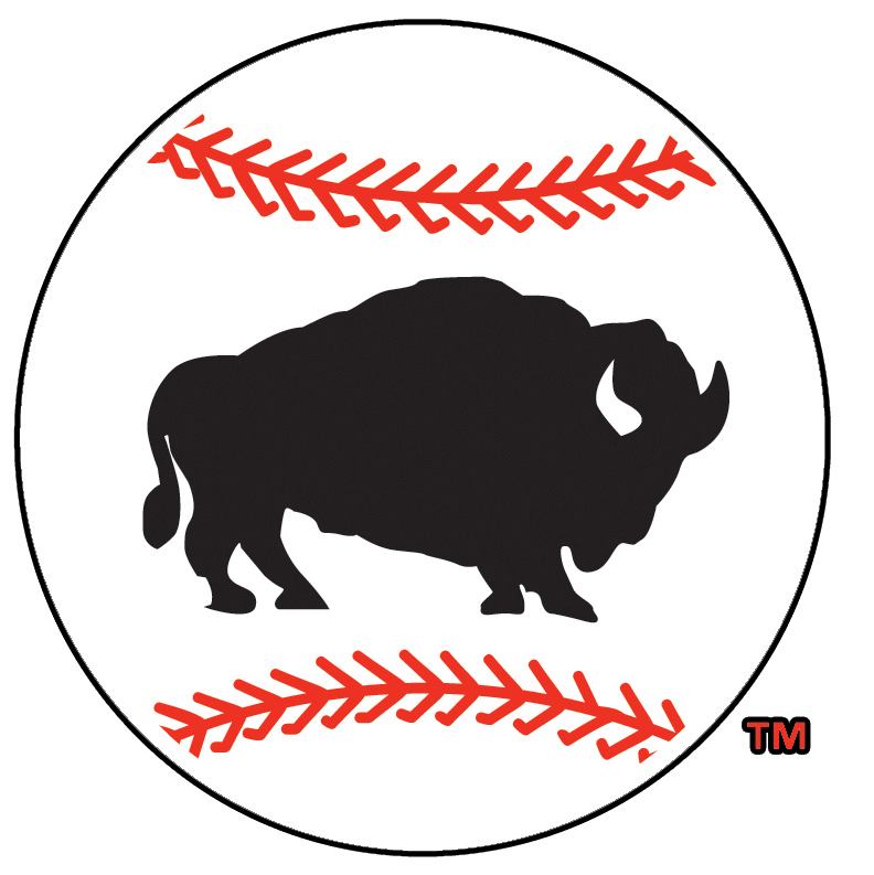 Buffalo Bisons 2005-2008 Alternate Logo iron on transfers for T-shirts